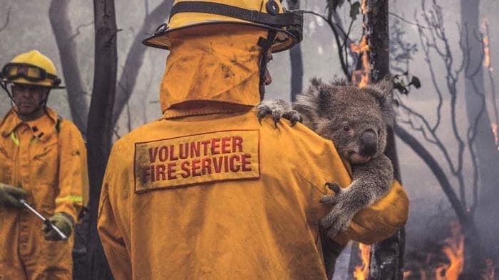 Пожежі в Австраліїї